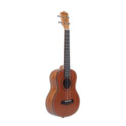MUT-tenor-03