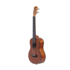MUT-tenor-04