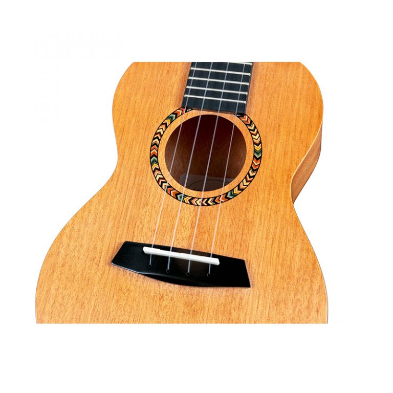 Enya Guitar and Ukulele Price in Nepal Official Store