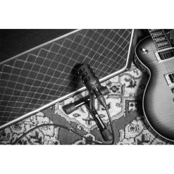 Beyerdynamic TG I51 Dynamic Instrument Microphone-08