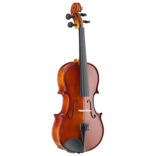 Stagg 4-4 Solid Maple Violin with Standard Soft Case-01