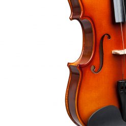 Stagg 4-4 Solid Maple Violin with Standard Soft Case-04