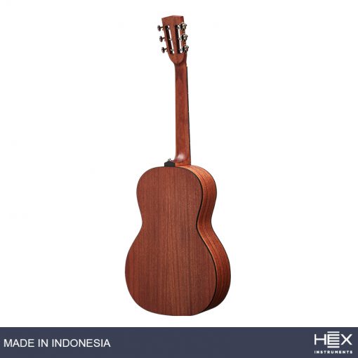 Hex Hive P100 M Parlor-Travel Acoustic Guitar, Natural-02