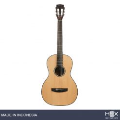 Hex Hive P100 M Parlor-Travel Acoustic Guitar, Natural-06