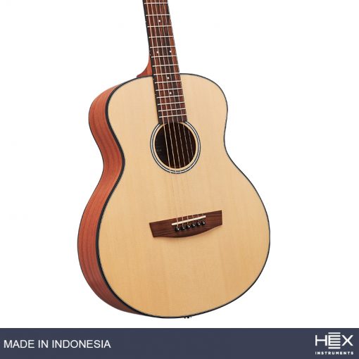 Hex Hive P100 M Parlor-Travel Acoustic Guitar, Natural-08