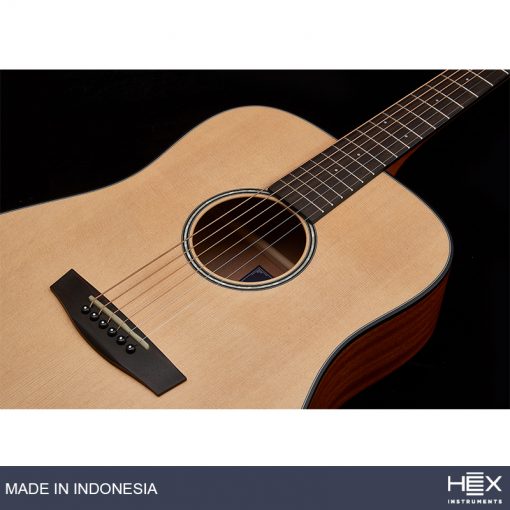 Hex Hive P100 M Parlor-Travel Acoustic Guitar, Natural-09