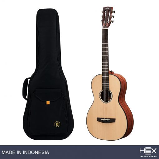 Hex Hive P100 M Parlor-Travel Acoustic Guitar, Natural-11
