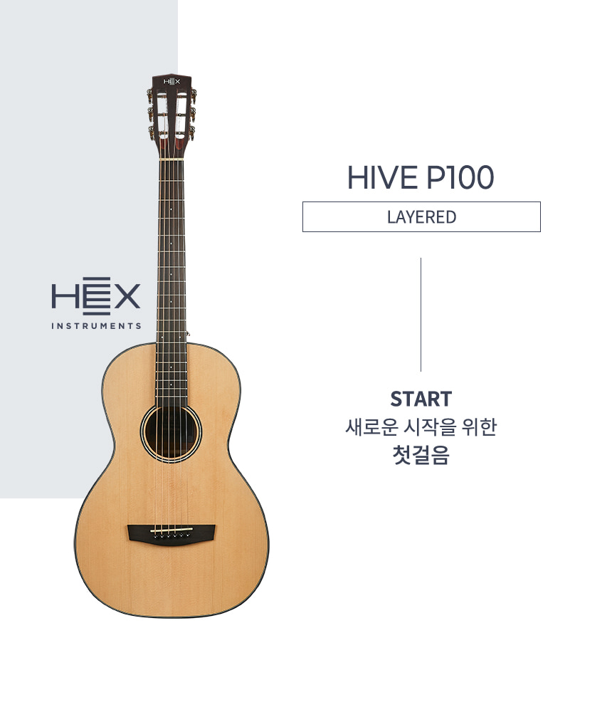 Hex-P100_01