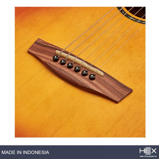 Hex P300HB G (Honey Burst) Parlor Acoustic Guitar with Standard Gig Bag-04