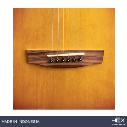Hex P300HB G (Honey Burst) Parlor Acoustic Guitar with Standard Gig Bag-05