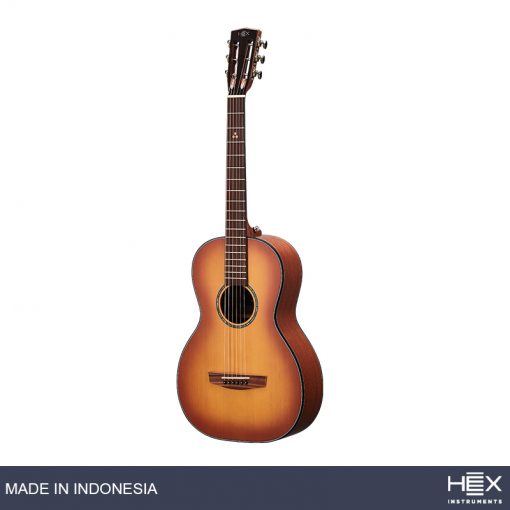 Hex P300HB G (Honey Burst) Parlor Acoustic Guitar with Standard Gig Bag-07
