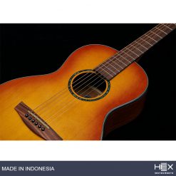 Hex P300HB G (Honey Burst) Parlor Acoustic Guitar with Standard Gig Bag-09
