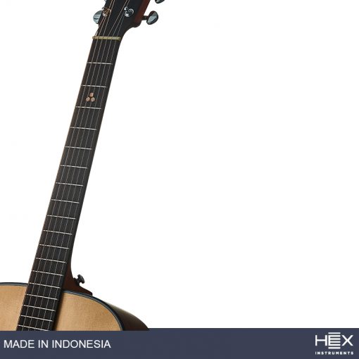 Hex P300HB G (Honey Burst) Parlor Acoustic Guitar with Standard Gig Bag-10