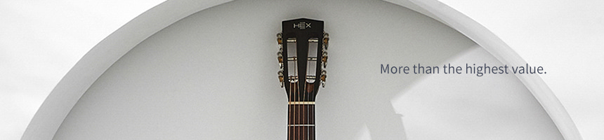 Hex-P300SB_08
