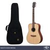 Hex Sting D300 M Acoustic Guitar with Standard Gig Bag-01