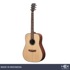 Hex Sting D300 M Acoustic Guitar with Standard Gig Bag-02