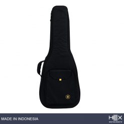 Hex Sting D300 M Acoustic Guitar with Standard Gig Bag-03