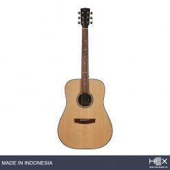 Hex Sting D300 M Acoustic Guitar with Standard Gig Bag-04