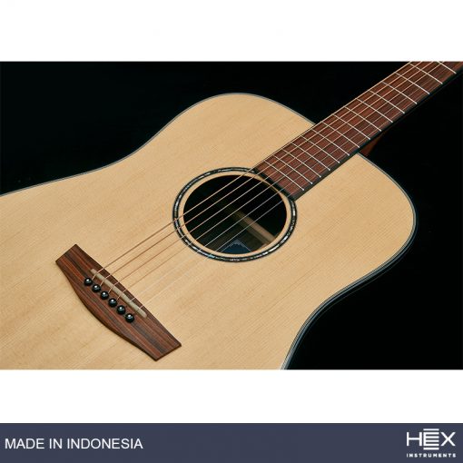 Hex Sting D300 M Acoustic Guitar with Standard Gig Bag-08