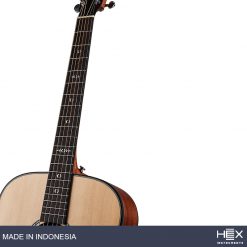 Hex Sting D300 M Acoustic Guitar with Standard Gig Bag-09