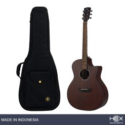 Hex Hive GA120C M Acoustic Guitar with Standard Gig Bag-01