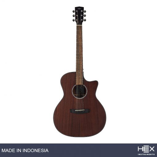 Hex Hive GA120C M Acoustic Guitar with Standard Gig Bag-02