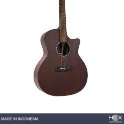 Hex Hive GA120C M Acoustic Guitar with Standard Gig Bag-05