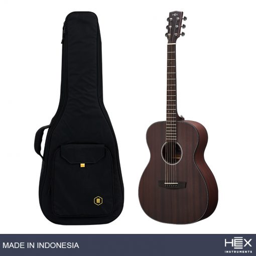 Hex Sting F120 M Acoustic Guitar with Standard Gig Bag-01