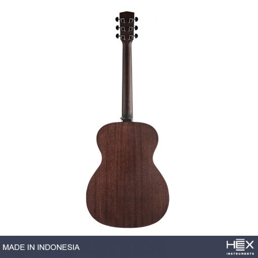 Hex Sting F120 M Acoustic Guitar with Standard Gig Bag-03