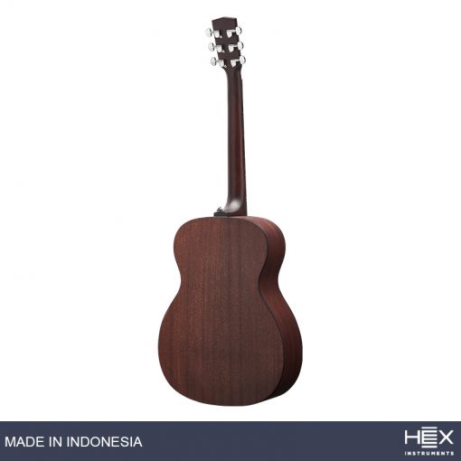 Hex Sting F120 M Acoustic Guitar with Standard Gig Bag-04