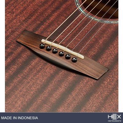 Hex Sting F120 M Acoustic Guitar with Standard Gig Bag-06