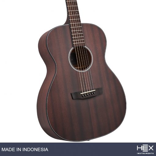 Hex Sting F120 M Acoustic Guitar with Standard Gig Bag-08