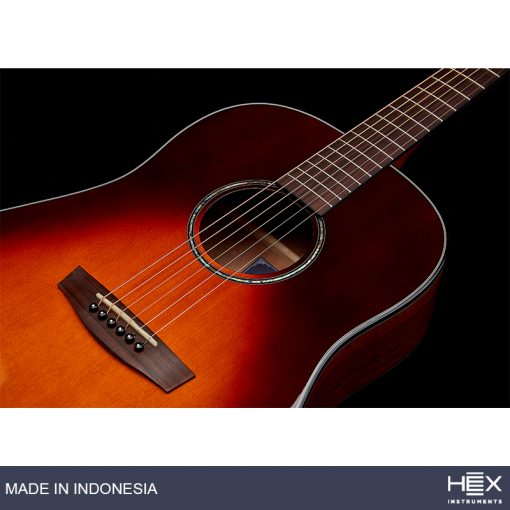 Hex Sting SJ300VB G Acoustic Guitar with Standard Gig Bag-05