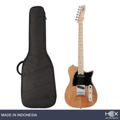 Hex T200 SG-NT Natural Telecaster Electric Guitar with Deluxe Bag-01