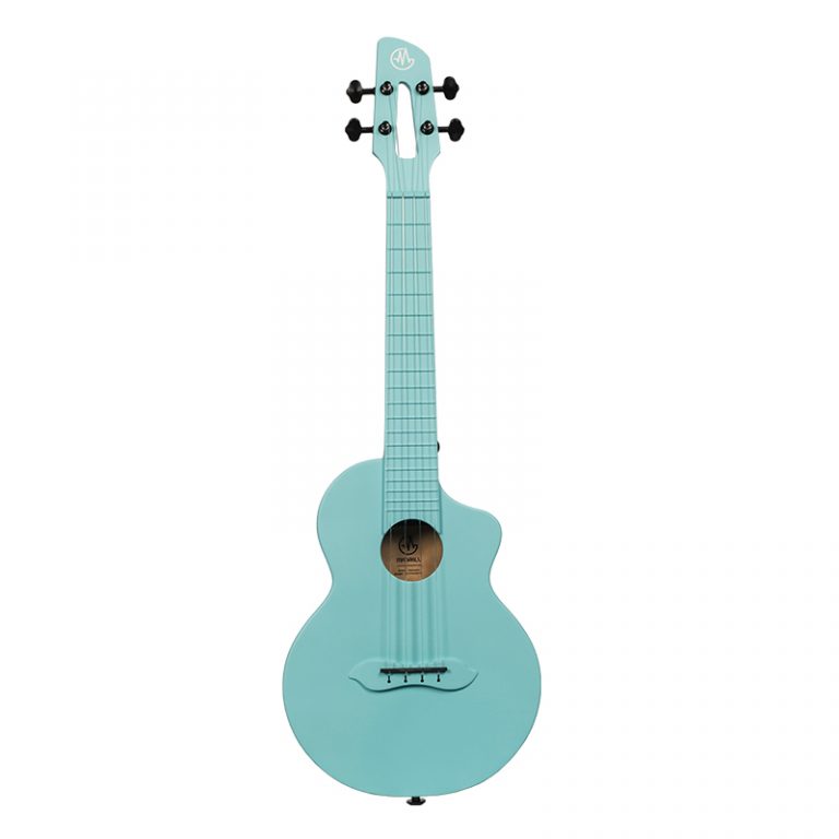 Ukulele price in Nepal Buy Ukulele in Nepal Treasure Music