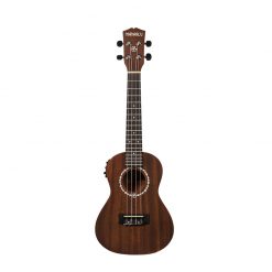 danfe-concert-eq-brown-01