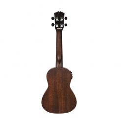 danfe-concert-eq-brown-02