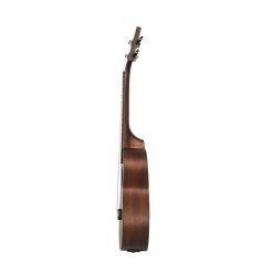 danfe-concert-eq-brown-05