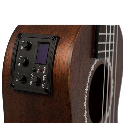 danfe-concert-eq-brown-08
