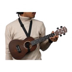 danfe-concert-eq-brown-13