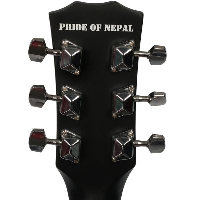 shree-guitar-content-03