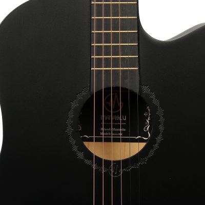 shree-guitar-content-04