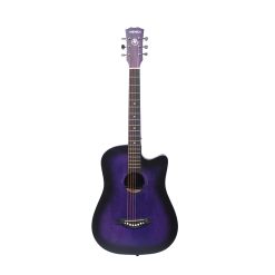 shree-guitar-purple-01