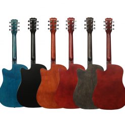 shree-guitar-website-05