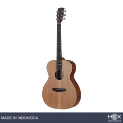 Hex Beta F70 M Acoustic Guitar with Standard Gig Bag-02