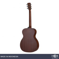 Hex Beta F70 M Acoustic Guitar with Standard Gig Bag-03