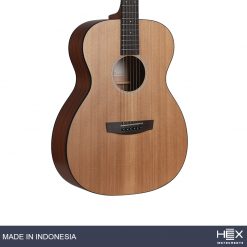Hex Beta F70 M Acoustic Guitar with Standard Gig Bag-04