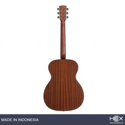 Hex Beta F70 M Acoustic Guitar with Standard Gig Bag-05