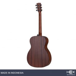 Hex Beta F70 M-BT Acoustic Guitar with Standard Gig Bag-03