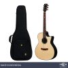 Hex Hornet GA450CE G Cutaway Acoustic-Electric Guitar with Standard Gig Bag-01